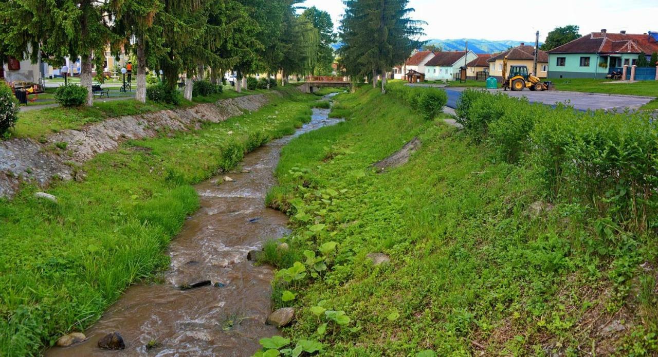 Pensiunea Salas Salasu de Sus Εξωτερικό φωτογραφία